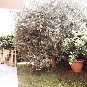 Beb Ulivo Santa Giuletta